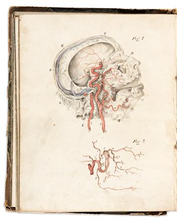 [Medicine & Science] Physicians Illustrated Notebook. England, circa 1844.